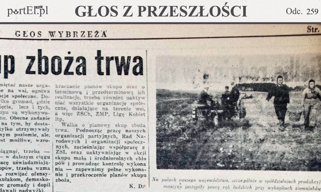 Elbląg, Głos Wybrzeża nr 293, 1950 r.