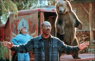 Elbląg, Dr Dolittle 2 Elbląg, Dr Dolittle 2