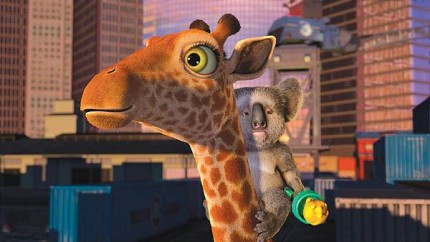 Elbląg, Nowe zaproszenia na „Dżunglę” Elbląg, Nowe zaproszenia na „Dżunglę”