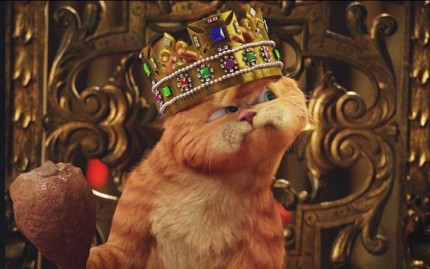 Elbląg, Garfield zaprasza do kina Elbląg, Garfield zaprasza do kina