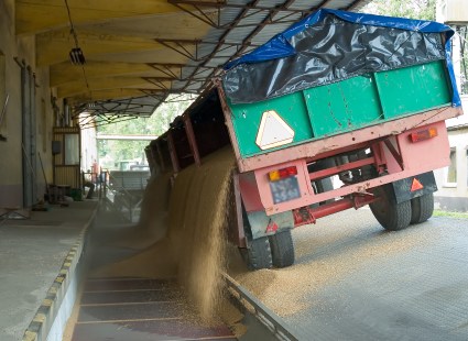 Elbląg, Po rzepakowych żniwach
