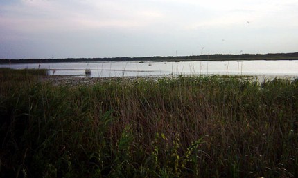 Elbląg, Jezioro Drużno Elbląg, Jezioro Drużno