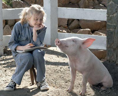 Elbląg, Pajęczyna Charlotty