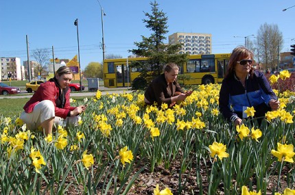 Elbląg, Z potrzeby serca