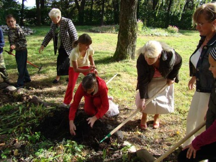 Elbląg, Młodzież sadzi żonkile Elbląg, Młodzież sadzi żonkile