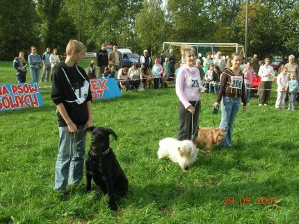 Elbląg, Konkurs psów-weteranów Elbląg, Konkurs psów-weteranów
