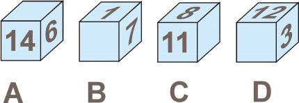 Elbląg, Zgadnij i wygraj kubek. Kostki