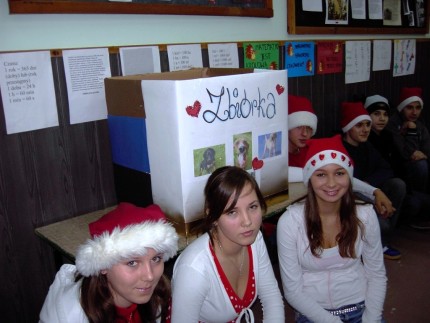 Elbląg, Pod choinkę dla zwierząt