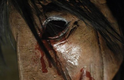 Elbląg, Piła IV Elbląg, Piła IV