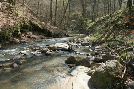 Elbląg, Zielonym szlakiem Elbląg, Zielonym szlakiem