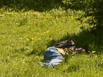 Elbląg, Na Dolince już lato Elbląg, Na Dolince już lato