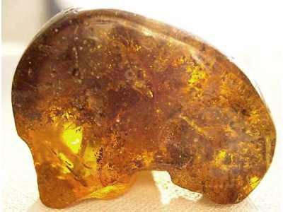 Elbląg, "złoto Bałtyku" www.wikipedia.pl Elbląg, "złoto Bałtyku" www.wikipedia.pl