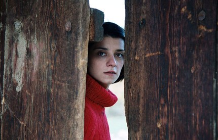 Elbląg, DKF: Skradzione oczy