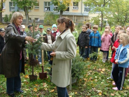 Elbląg, Pierwszoklasiści złożyli uroczyste ślubowanie i zasadzili swoje drzewko - pomagały im nauczycielki