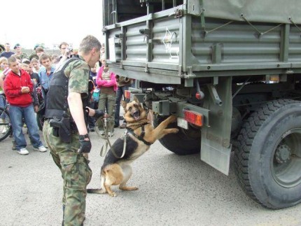 Elbląg, Nowe uprawnienia Straży Granicznej