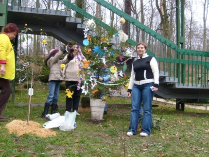 Elbląg, Choinka z iskierką nadziei Elbląg, Choinka z iskierką nadziei