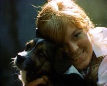 Elbląg, kadr z filmu