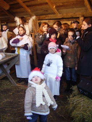 Elbląg, Jedyna w Elblągu! Elbląg, Jedyna w Elblągu!
