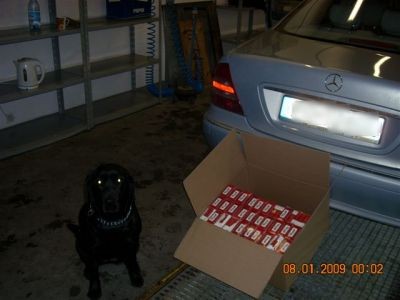 Elbląg, Nos Tigry nigdy się nie myli... Elbląg, Nos Tigry nigdy się nie myli...