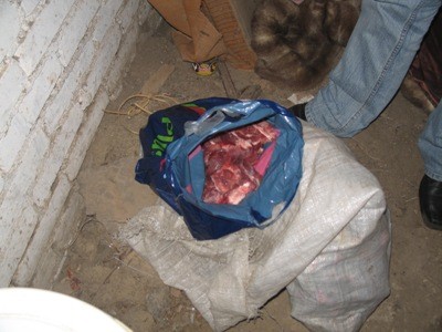 Elbląg, Policjanci znaleźli mięso dzika w mieszkaniu oraz w piwnicy Elbląg, Policjanci znaleźli mięso dzika w mieszkaniu oraz w piwnicy