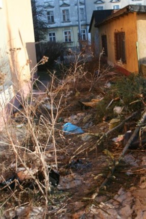 Elbląg, Przychodnia w śmietniku Elbląg, Przychodnia w śmietniku