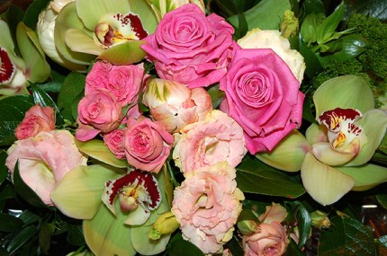 Elbląg, Bukiet kwiatów ucieszy każdą mamę