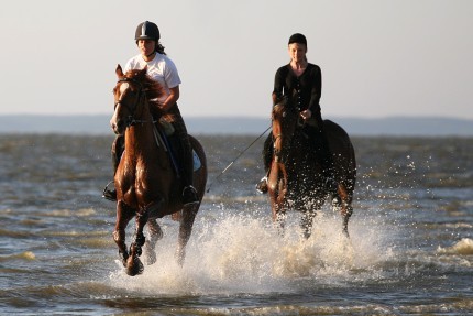 Elbląg, www.michalpawlowicz.com