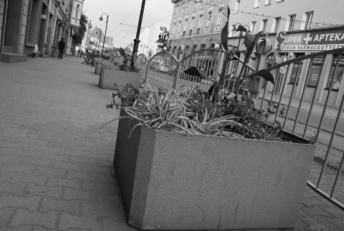 Elbląg, Kosze z kwiatami