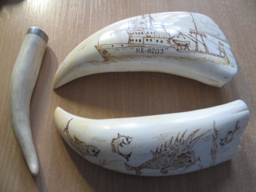 Elbląg, 38-letnia Rosjanka próbowała przewieźć przez granicę zęby dzikich zwierząt