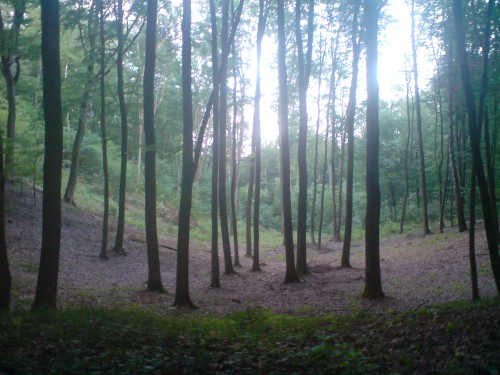 Elbląg, Wypoczywaj aktywnie!