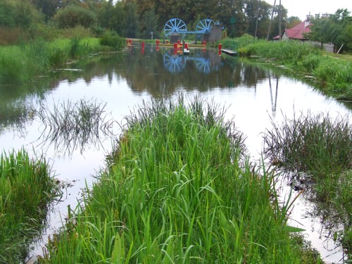 Elbląg, Cieszmy się nim, wzbogacajmy, wykorzystajmy, aby się rozwijać...