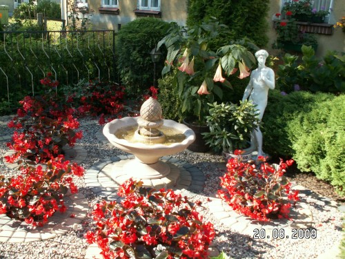 Elbląg, Na zdjęciach teren wokół ZBK na Grochowskiej (I miejsce) i  przy ul. Ogólnej 42 (II miejsce).