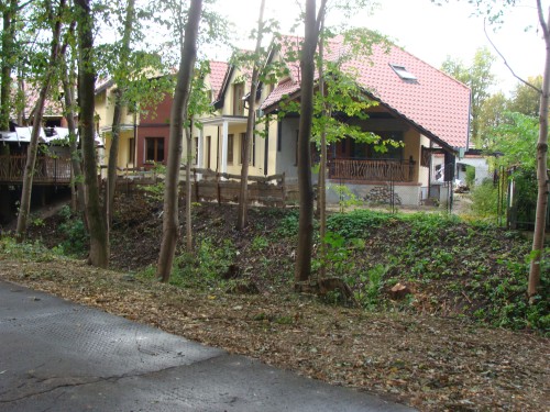 Elbląg, Dlaczego wycięto te drzewa?