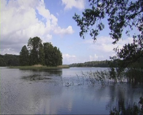 Elbląg, TvO: Gmina Małdyty