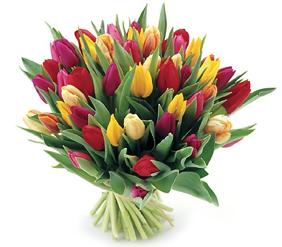 Kup kwiaty w Azalii i wygraj weekend w SPA!