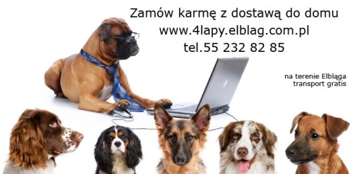Zakupy na telefon