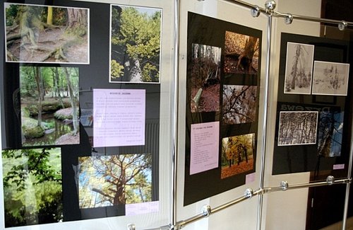 Elbląg, Drzewa - okazy zebrane ze wszystkich stron świata są bohaterami kolejnej wystawy fotografii, która zagościła w Warmińsko-Mazurskiej Bibliotece Pedagogicznej Elbląg, Drzewa - okazy zebrane ze wszystkich stron świata są bohaterami kolejnej wystawy fotografii, która zagościła w Warmińsko-Mazurskiej Bibliotece Pedagogicznej