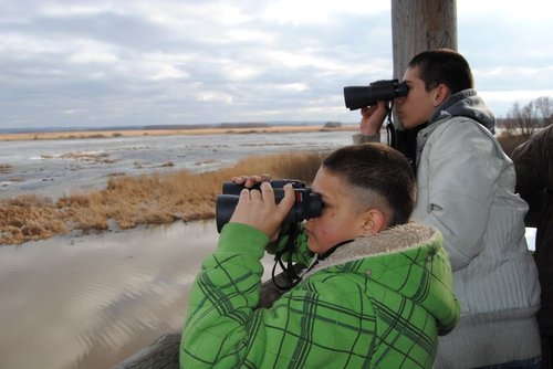 Elbląg, Wychowankowie OSW nr 2 obserwowali przyrodę na terenie rezerwatu Jezioro Druzno Elbląg, Wychowankowie OSW nr 2 obserwowali przyrodę na terenie rezerwatu Jezioro Druzno