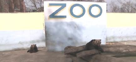 Elbląg, W Bażantarni powstanie ZOO