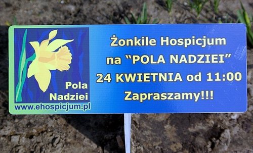 Elbląg, „Kartka nadziei” Dominiki Bogdanowicz