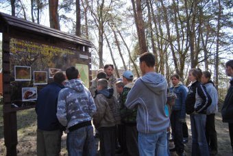 Elbląg, Na tropie piaskołaza i sercówki…