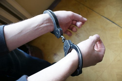 Elbląg, Policjanci zatrzymali dwóch 17-latków podejrzanych o podpalenie trzcinowiska w rezerwacie jeziora Drużno