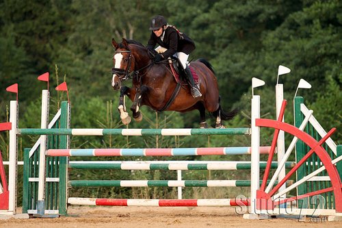 Elbląg, Mistrzostwa Warmii i Mazur Sokolnik 2010 Elbląg, Mistrzostwa Warmii i Mazur Sokolnik 2010