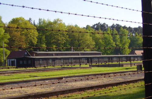 Elbląg, Stutthof kryje w sobie jeszcze wiele tajemnic...