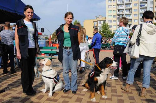 Elbląg, Pies- najlepszy przyjaciel człowieka Elbląg, Pies- najlepszy przyjaciel człowieka