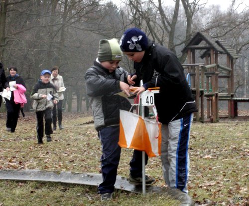 Elbląg, Sobotni bieg w parku Elbląg, Sobotni bieg w parku
