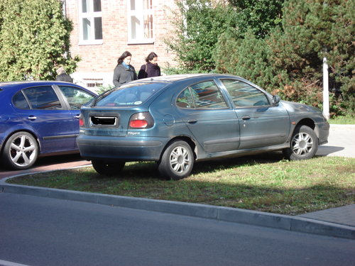 Elbląg, Przedmiot: rozjeżdżanie trawników Elbląg, Przedmiot: rozjeżdżanie trawników