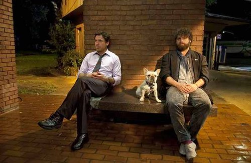 Elbląg, (mat. dystrybutora)