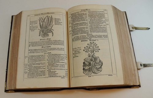 Elbląg, Trzecie "Spotkanie z arcydziełem"