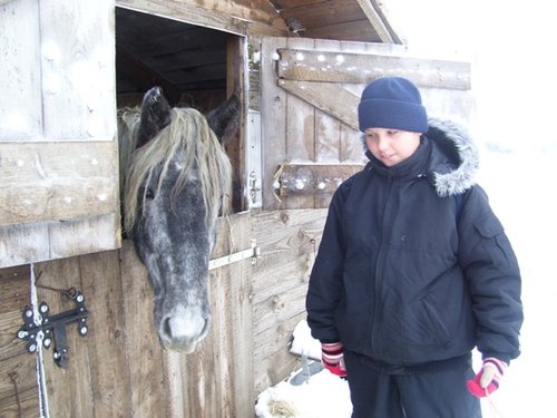 Elbląg, Niezapomnianych wrażeń dostarczył dzieciom z Ośrodka zimowy piknik, któremu towarzyszyła hipo- i kynoterapia